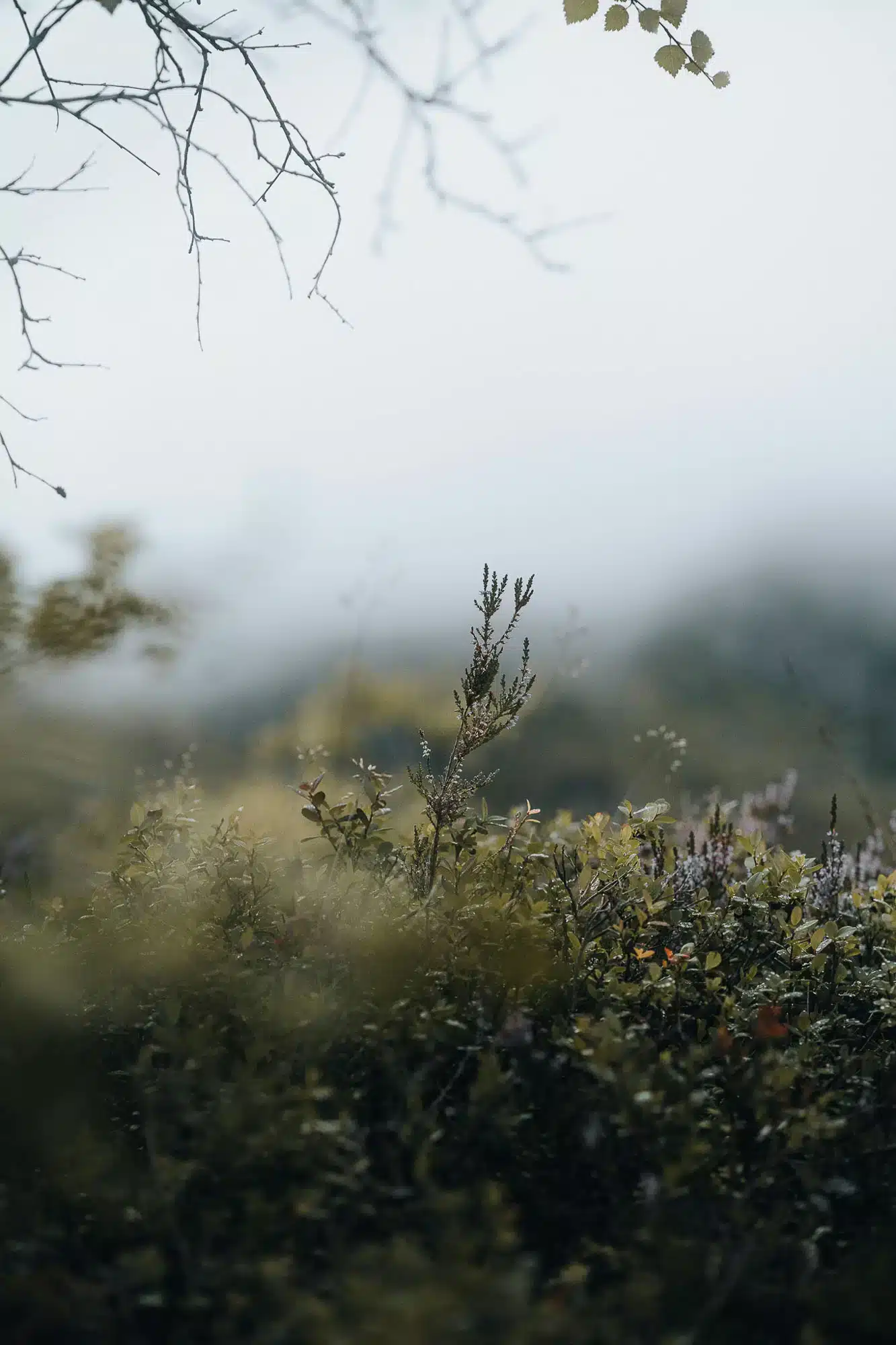 alex lvrs unsplash.jpg
